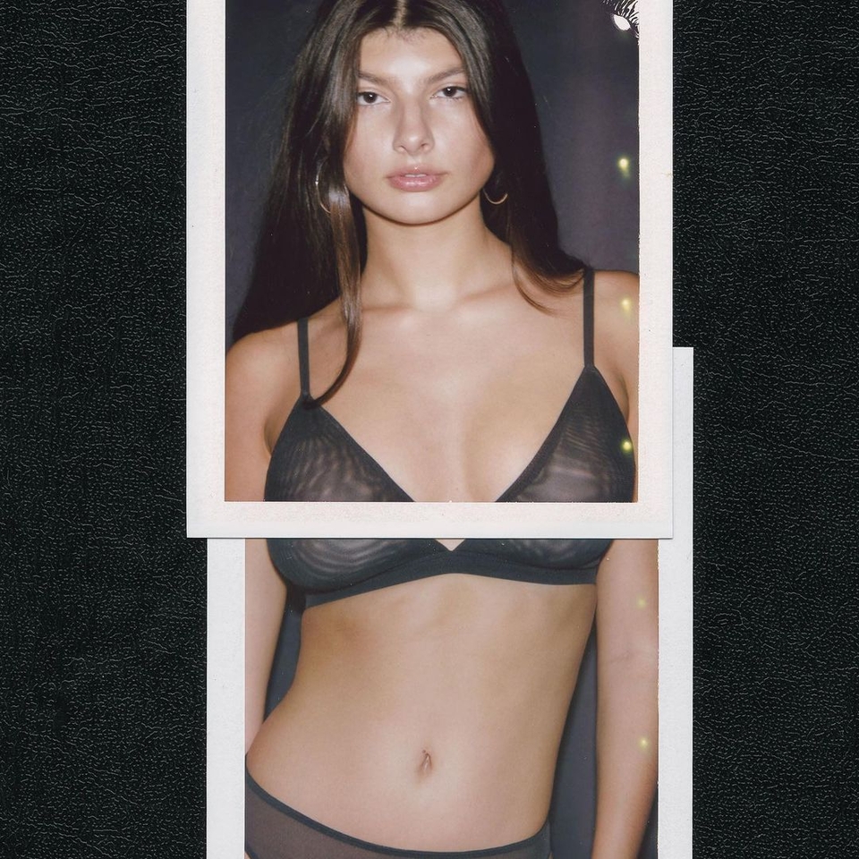 Alaya